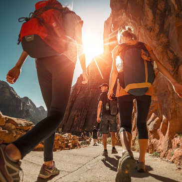 Slider image (3) Ibogaine by David Dardashti